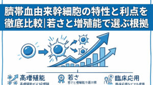 臍帯血由来幹細胞の特性と利点を徹底比較|若さと増殖能で選ぶ根拠